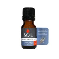 Sell Soil Essential Oil - Eucalytus-10ml