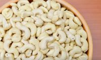 Organic Cashew Raw Nuts