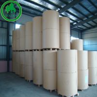 Food Grade Paper Board with Single or Double PE Coated Cup Stock Board