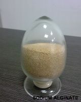 Sodium alginate (Algin)