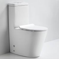 Bathroom Sanitary Ware Ceramics WC Washdown