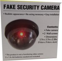 Fake CCTV security Camera With Flashing Light