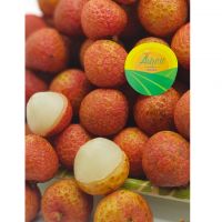 Fresh Lychee GlobalGAP from Vietnam, Mob/Whatsapp: +84356510958