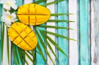 Fresh Cat Chu Mango From Vietnam With High Quality (HuuNghi Fruit)