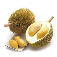 Fresh Musang King D197 Durian - High