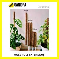 MOSS POLE EXTENSION