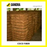 COCO FIBER from Indonesia 