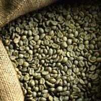 Green coffee bean