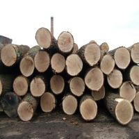 timber logs,