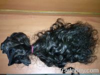 virgin curly  Human hair