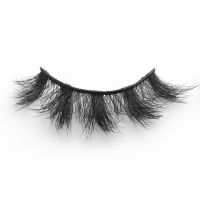 ECO-LASHES