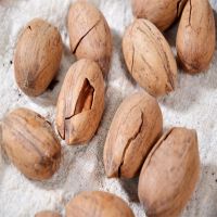 Pecan Nuts