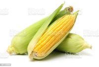 CORN