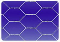 Hexagonal wire mesh