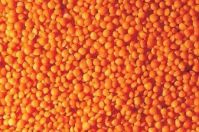 High Quality Bulk Dried whole split Lentils Red Lentils Green Lentils
