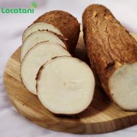 Fresh Cassava