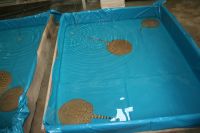 Tropical Fish And Reptiles