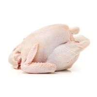 Frozen Chicken &amp; Chicken Parts