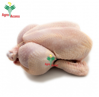 Frozen Chicken & Chicken Parts