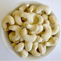 cashew nuts for sale