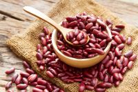 High Quality Organic Dried Red Kidney Beans for Export Bulk Wholesale Supplier Non-GMO Cleaned Pulses from Trusted Exporter