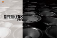 professional tweeter/woofer