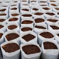 COCOPITH COCOPEAT COIR PEAT