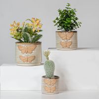 Factory Direct Terracotta Pots Classic Ceramic Flower Pot Multi Size Succulents Red Clay Planter Pots