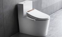 TAIWAN Smart Toilet Seat