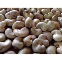 Cashew Nuts