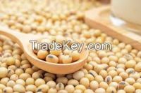 Soya beans