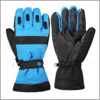 Ski Gloves