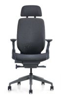 High back chair with headrest(2002B-2H)