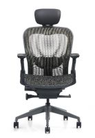 High back chair with headrest(2005B-2W)