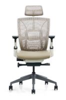 High back chair with headrest(2006B-2)