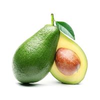 FRESH AVOCADO HIGH QUALITY