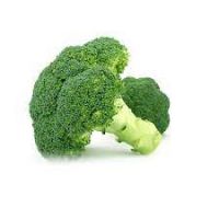 Fresh Broccoli For Sell Dubai