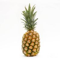 Fresh Pineapple For Sell Bamenda Cameroon