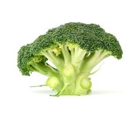 Fresh Broccoli For Sell How Much