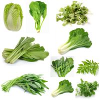 bok choy leaf for sale lebanon