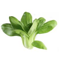 bok choy leaf for sale london