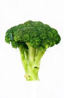 Fresh Broccoli Suppliers China