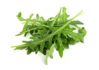 arugula leaf suppliers holland