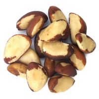 Brazil Nuts Price