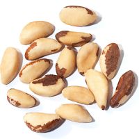 brazil nut bulk