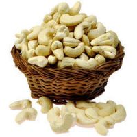 cashew nut processing machine suppliers