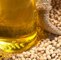 High Quality Deodorized Soybean Oil Available