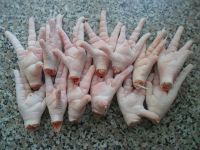 Cheap Price Frozen Chicken Feet