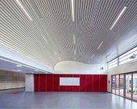 Aluminum U-Strip Ceiling Linear Decoration Ceiling Panel in Different Color