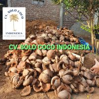 Cocopeat LOW EC